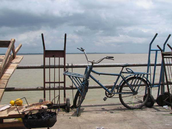 A1.Newbikeandfish