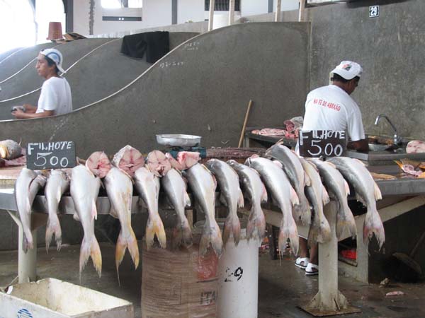A6.Fish market