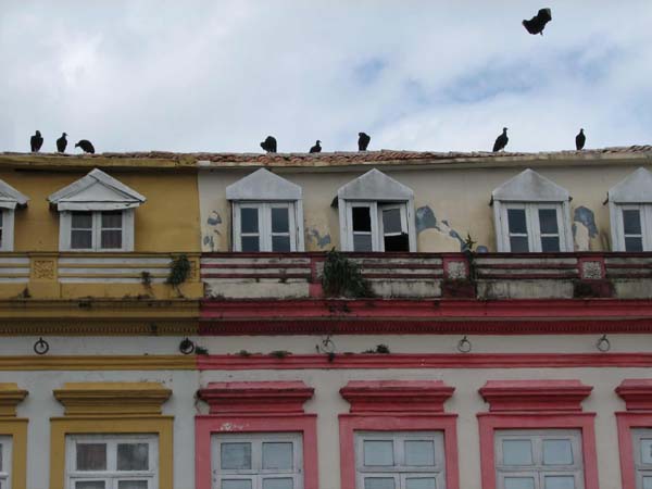 C4.Vultures