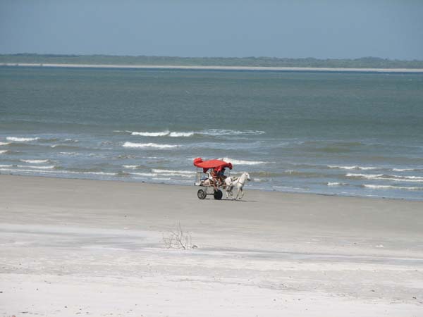 D2.Beach taxi