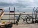 A1.Newbikeandfish