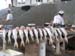 A6.Fish market