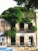 C7.Junglehouse